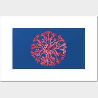 Coral rosette Posters and Art